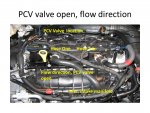 PCV system.jpg