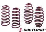 vogtland-sport-springs-ford-fiesta-st-ng_1391156400.jpg