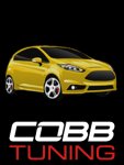 COBB_Yellow.jpg