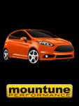Mountune_Orange.jpg