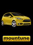 Mountune_Yellow.jpg
