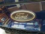 Ford logo tint.jpg