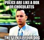 police are like a box of chocolates.jpg