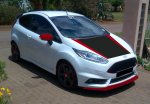 fiesta st 5.jpg