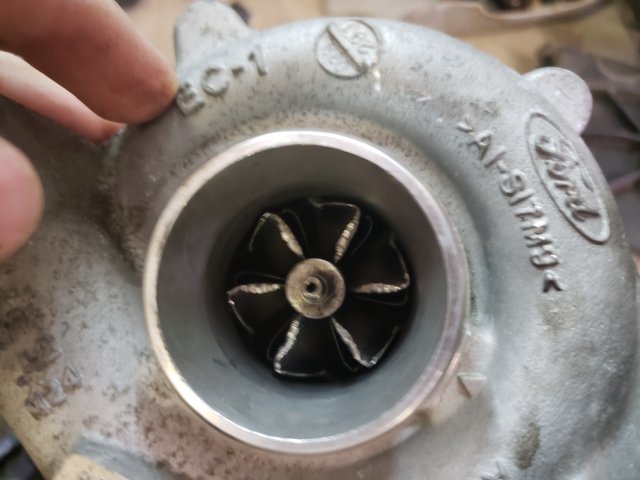20190412_144732.jpg