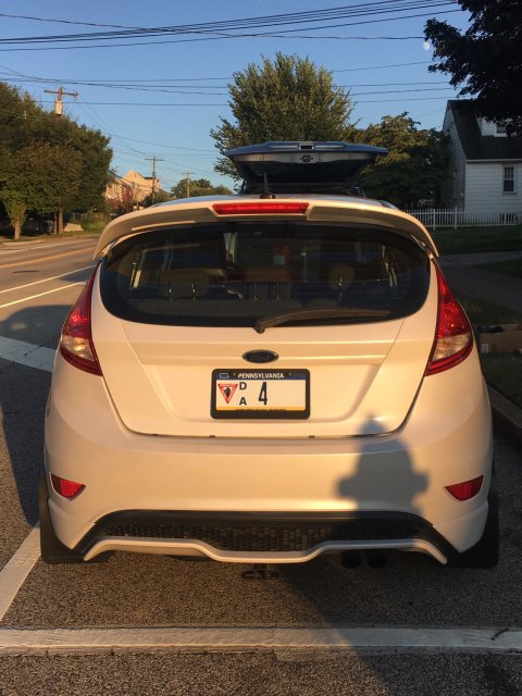 License Plate FIesta.jpg