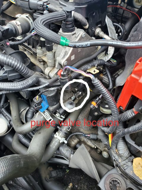 Purge Valve Fix Codes P1450 P219a Fiesta St Forum Purge Valve Fix Codes P1450 P219a Fiesta St Forum