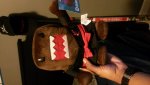 Domo (450x800).jpg