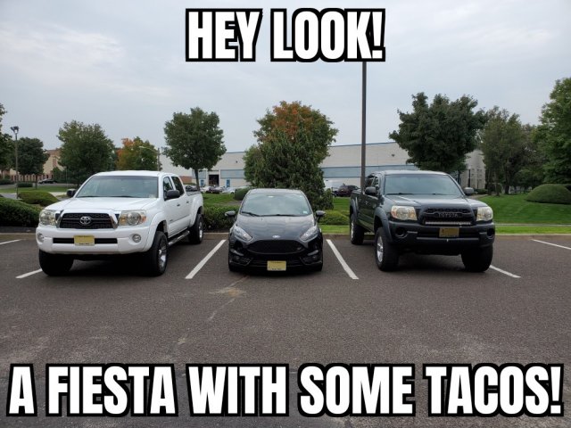 Fiesta with Tacos.jpg