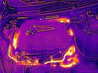 FLIR1000001.jpeg