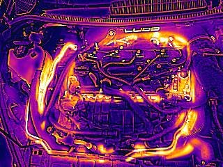 FLIR1000004.jpeg