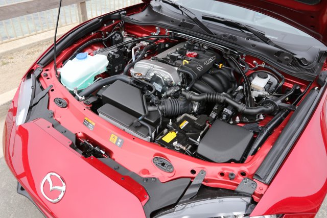323A2008.jpg
