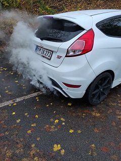 fisen.jpg
