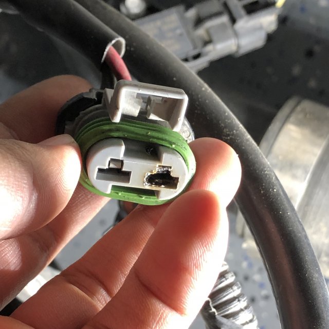 Engine cooling fan not working. Fiesta ST Forum