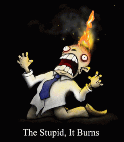 the-stupid-it-burns (1).gif