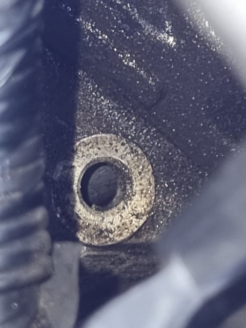 20230312_104536.jpg