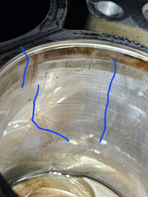 1000008096.jpg