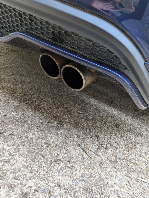 shared image (4).jpg