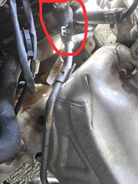 20260423_114929-EDIT FIESTA.jpg