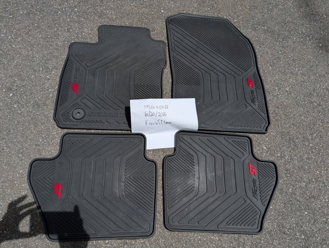Fiesta All Weather Mats.jpg