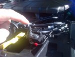 IMG-20160924-00917.jpg