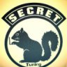 SecretSquirlTuned