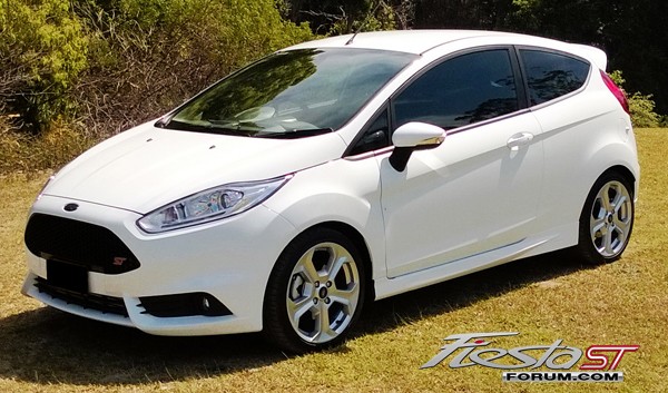 Frozen white ford fiesta st for sale #4